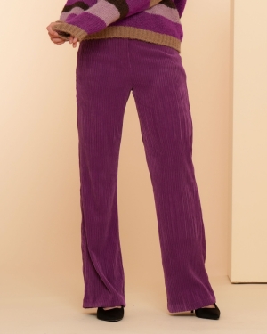 000000 2 [D-Jeans] 000380 purple