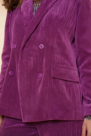 000000 4 [D-Blazer] 000380 purple